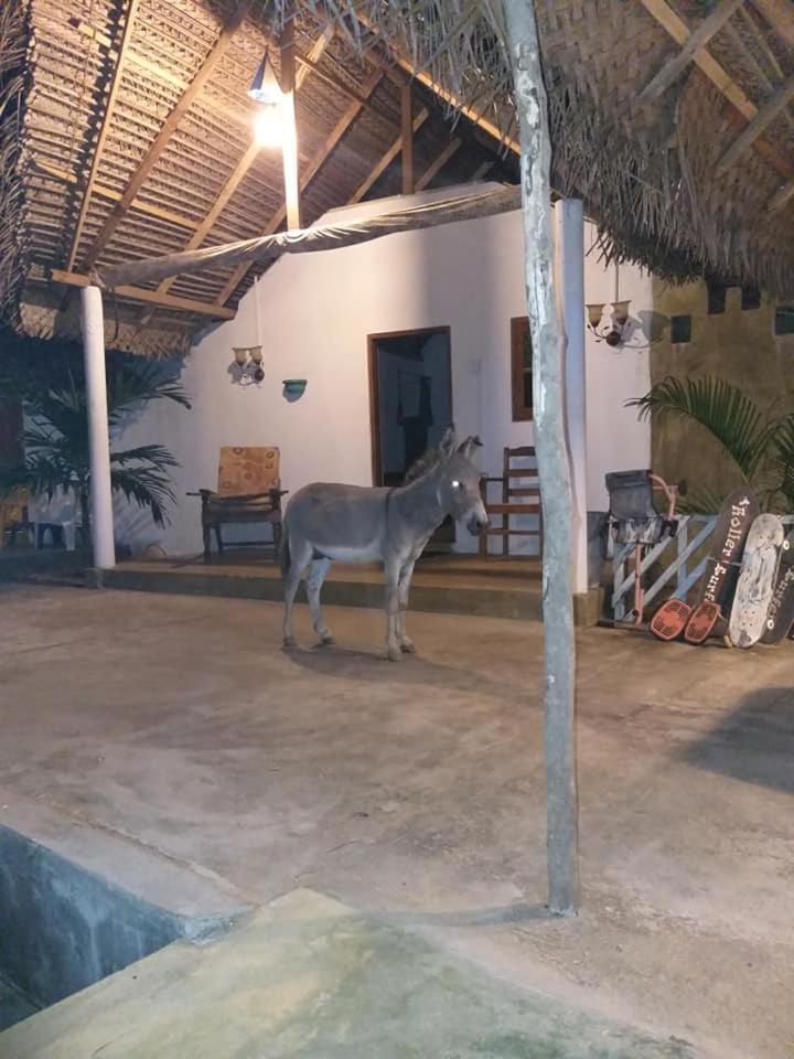 Kite Bay Villa Kalpitiya Eksteriør bilde