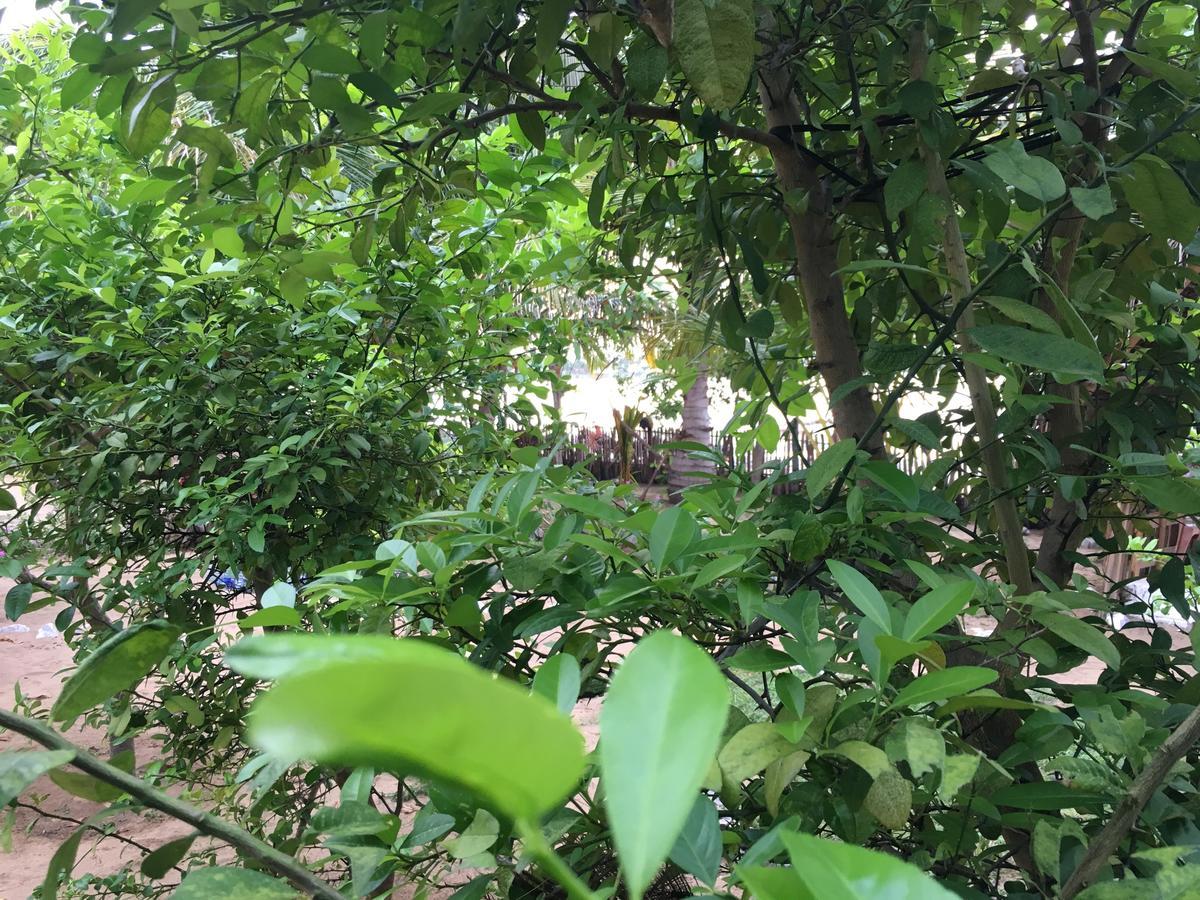 Kite Bay Villa Kalpitiya Eksteriør bilde